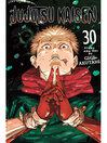Jujutsu Kaisen, Volume 30